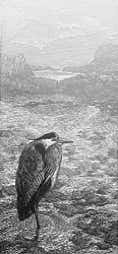 Wood engraving