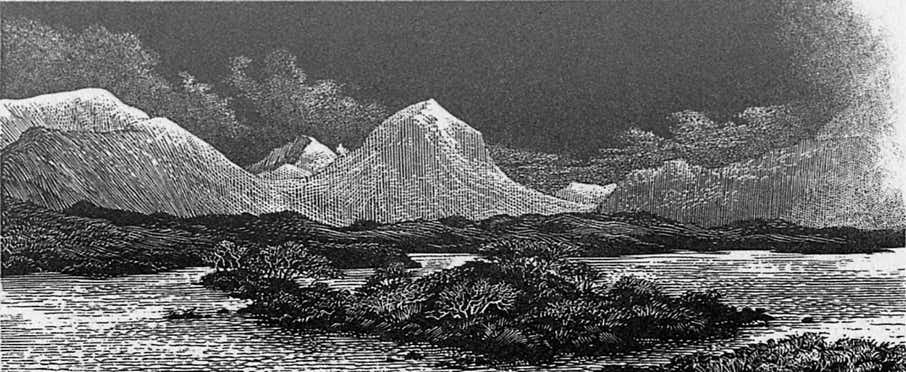 Wood engravings