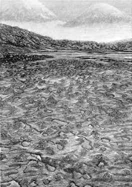 Wood engraving