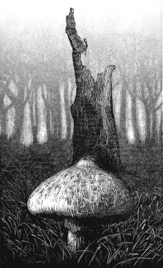 Wood engraving