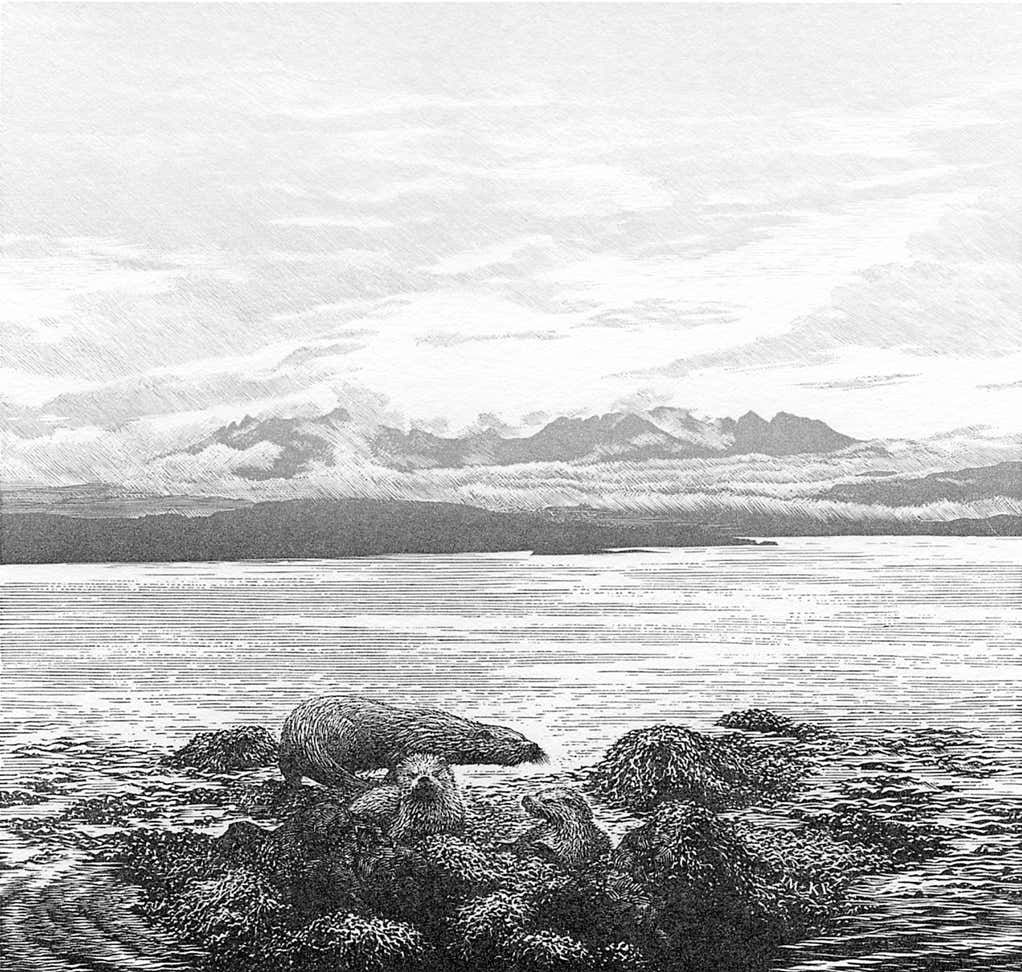Wood engraving