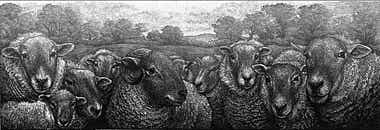 Wood engraving