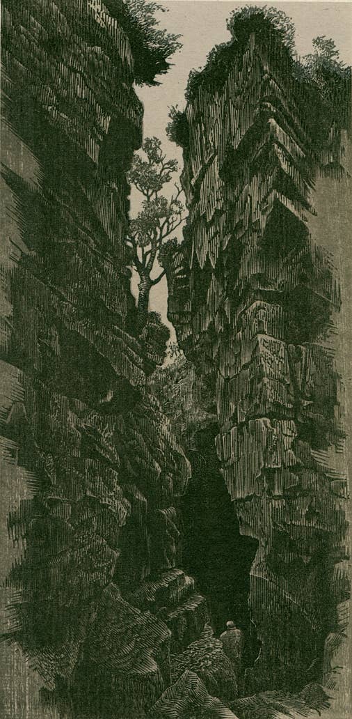 Wood engraving