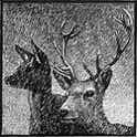 Wood engraving