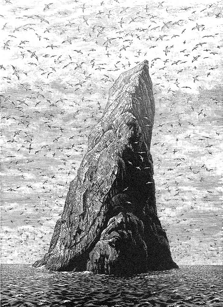 Wood engraving