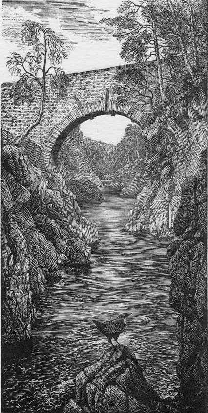 Wood engravings