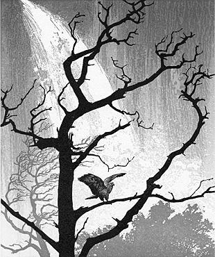 Relief print
