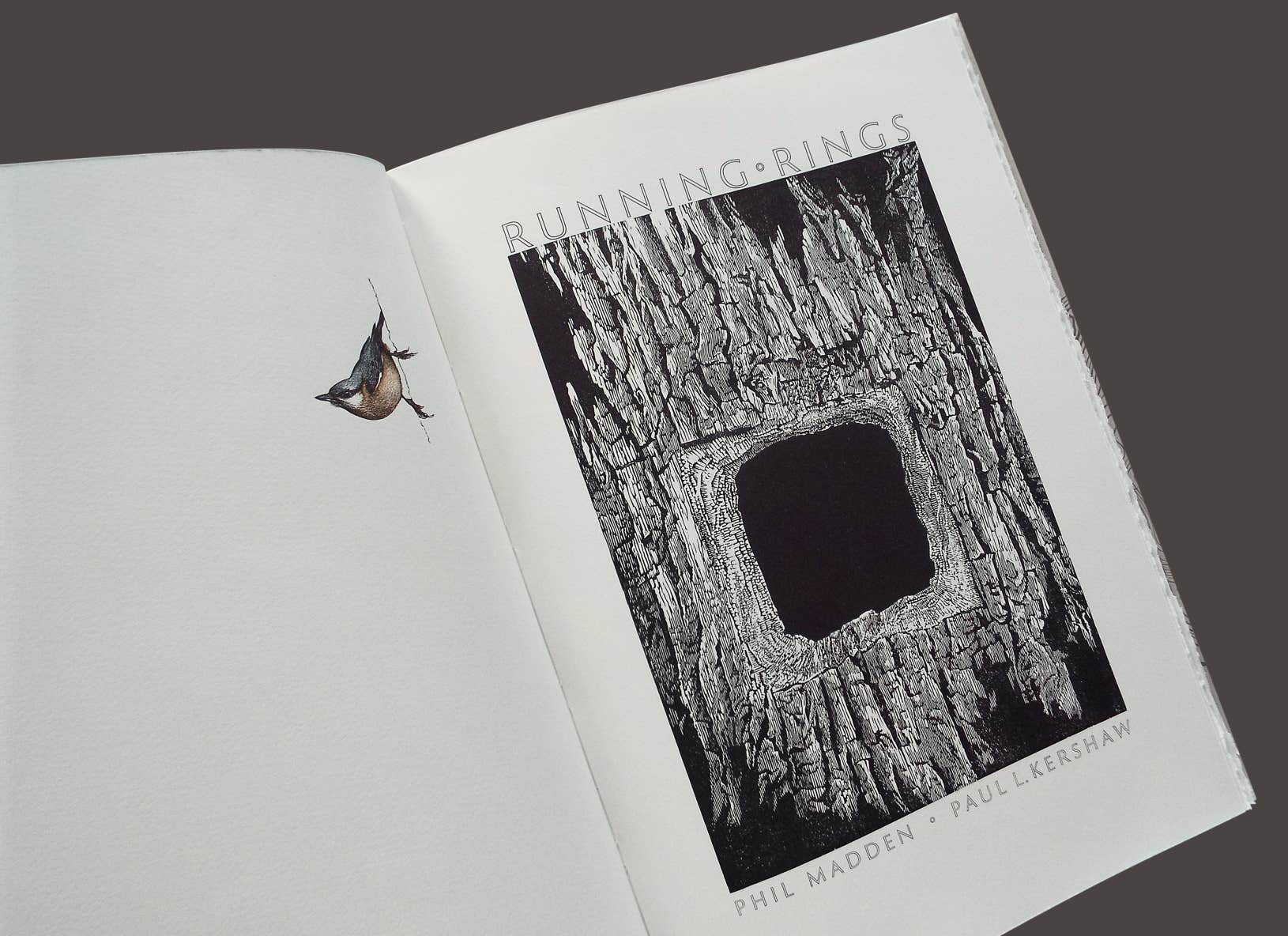 Page spread