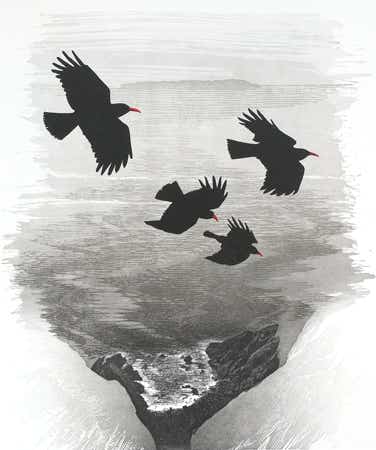 Relief print