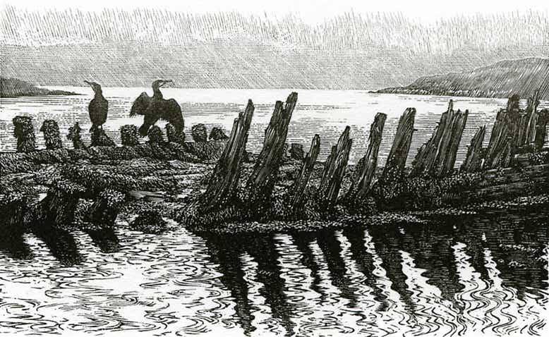Wood engraving