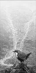 Wood engraving