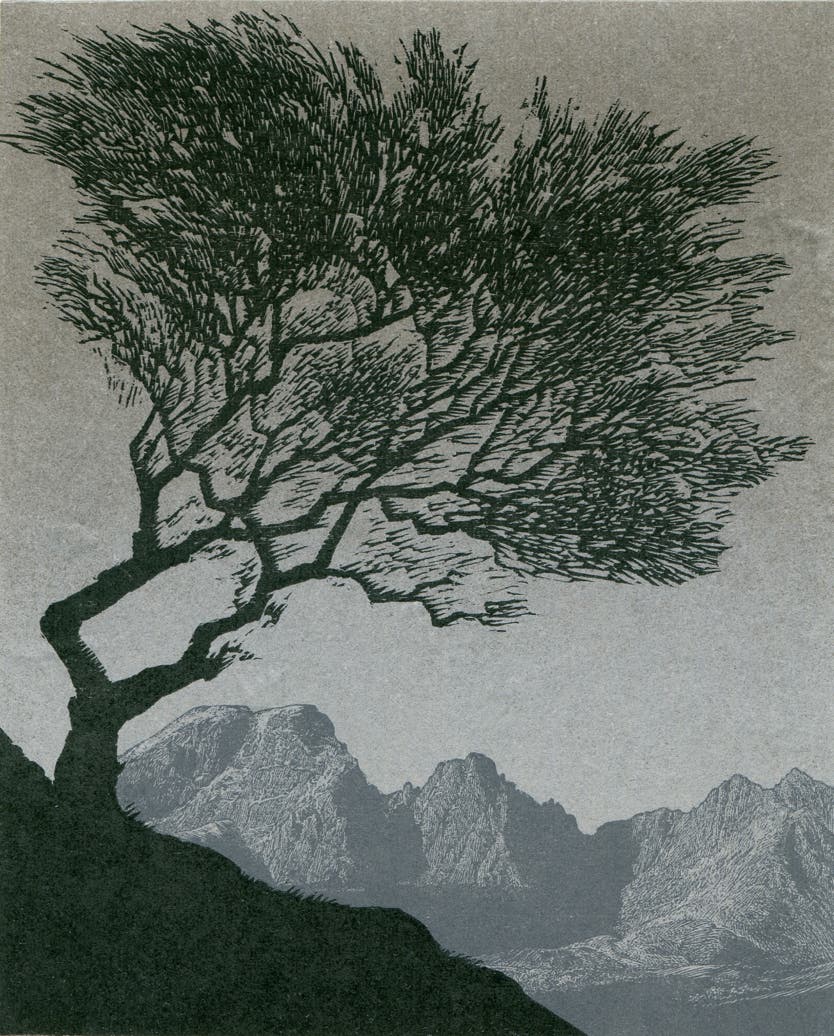 Relief print