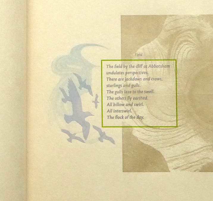 Page detail