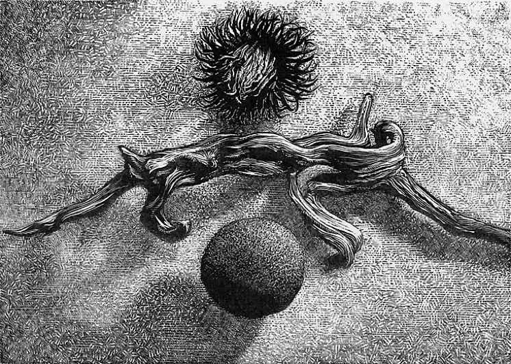 Wood engraving